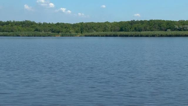 Турнир по рыбной ловле. Докучаевск 2019 смотреть онлайн