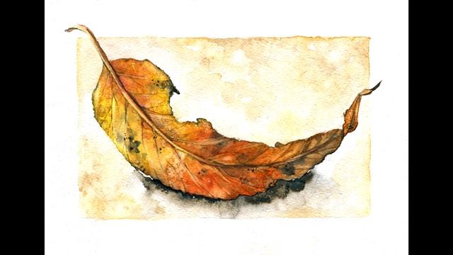 сказка про зеленый листок(А. Лукьянова) смотреть онлайн