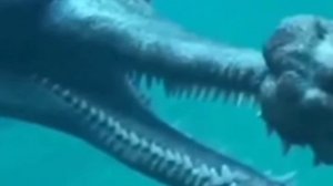 гангский гавиал