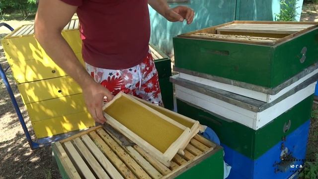 Как же правильно? В разрез или через одну! Постановка корпусов с вощиной! смотреть онлайн