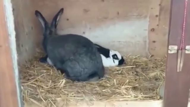 МАЙНКРАФТ ПРОТИВ РЕАЛЬНОЙ ЖИЗНИ 8 ! MINECRAFT VS REAL LIFE смотреть онлайн