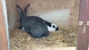 МАЙНКРАФТ ПРОТИВ РЕАЛЬНОЙ ЖИЗНИ 8 ! MINECRAFT VS REAL LIFE