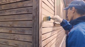 Дома из конопли. Костра и ее применение в строительстве. Строительство дома из конопли