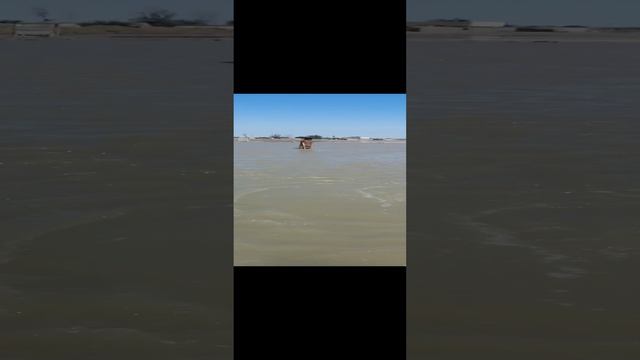 Лечебное озеро. Горячие источники.