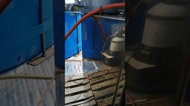 Нагрев бассейна с помощью печки на дровах смотреть онлайн