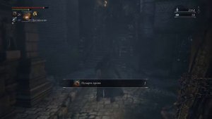 Bloodborne 4 босс "Викарий Амелия" (Как добраться до покоев)