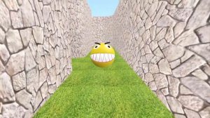 Pacman vs Angry Birds 3D
