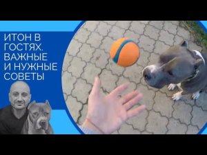 Итон в гостях(Нужные и Важные советы)