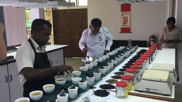 3 Президент фирмы Кволити тестирует чай перед отгрузкой в Санкт-Петербург. Репортаж из Коломбо. смотреть онлайн