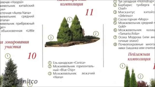 Альпийская горка и растения для альпийской горки.