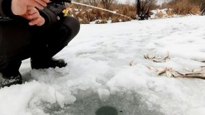 Субботняя рыбалка. Отчетик