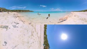 Pig Beach in Exuma at 360°.