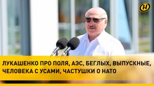 Лукашенко: ГДЕ МИНИСТР? НУ, – ИЩИ ЗЕРНО! | Чем Президент был недоволен, а что его порадовало?