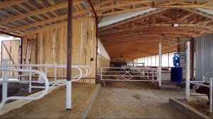 Новая линия боксов в коровнике