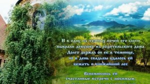 Собачья роза или Свобориное дерево. Легенда о шиповнике