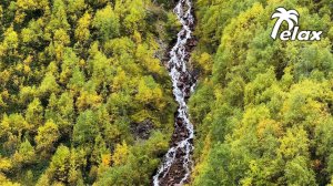 Golden Autumn in the Mountains and the Sound of a Waterfall