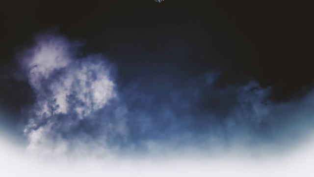 RiFF RaFF x DANNY BROWN - WETTER THAN TSUNAMi (OFFiCiAL MUSiC ViDEO) смотреть онлайн