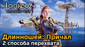 Horizon FW | Длинношей Причал | 2 варианта перехвата