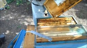 Использую ящик   стартер для вывода маток