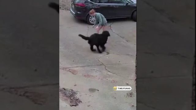 Погуляли!!!