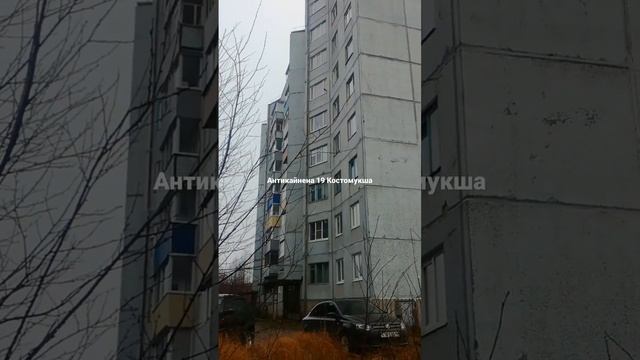 Антикайнена 19 Костомукша
