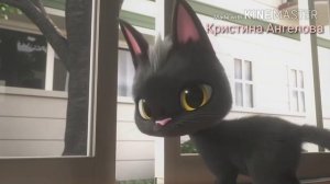 Жил был кот