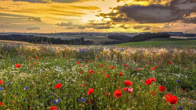 Музыкальный этюд для Ирины смотреть онлайн