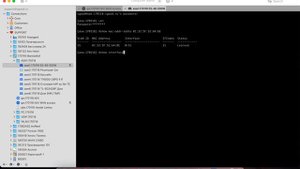 Поиск порта подключения устройства в сети на примере IP камеры
