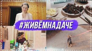 #ЖивемНаДаче день 3 | ВОДЯНОЕ ЧУДОВИЩЕ. Играем в продавца.