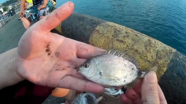 Морская рыбалка. Черное море - Туапсе. Ловля рыбы в Туапсе. Ловля с причала.