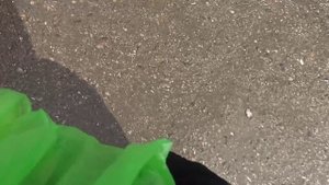 Обзор цен на оптовом рынке Яма в Краснодаре.