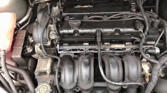 Разборка Ford - Focus 2 2005-2008, 1.6 Ti-VCT (VIN: WF05XXWPD56S00404) FM06FNZ смотреть онлайн