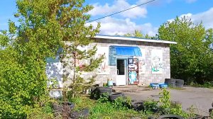 Магнитогорск, садовое товарищество Металлург-2, прогулка (22.05.2022)