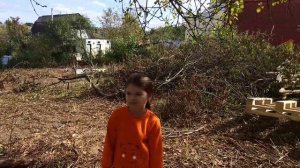 Купили заброшенную Дачу за 240 тысяч рублей. Обзор участка. Полы из Поддонов. Дача в Подмосковье.