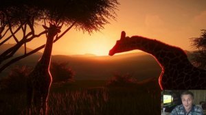 Planet Zoo получает очень положительные отзывы в Steam