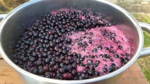 Варенье 5-минутка из ЧЕРНОЙ СМОРОДИНЫ