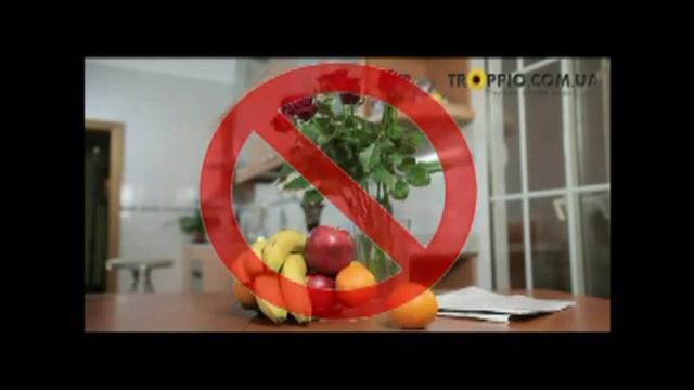 Цветы - Открытки! Правила ухода за срезанными цветами смотреть онлайн