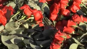 Похороны сына Януковича в Севастополе