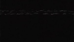 Инцидент на канале Бибигон в 2010 году