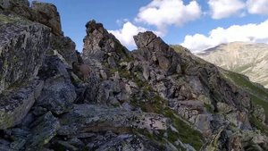 Горные козлы-Туры в горах Кавказа часть-2. август-2019 год.