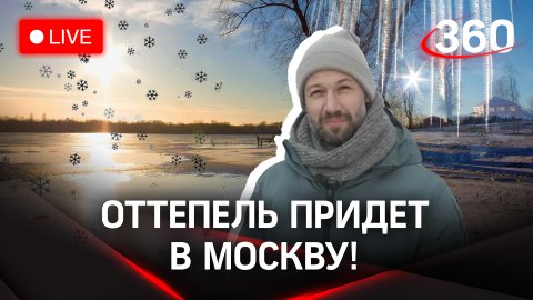 Дикобразы «предсказывают» погоду, мотоциклы зимой и оттепель в Москве | Метеомобиль «360»
