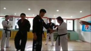 SGM KIM GI WOON 8TH DAN KOREA HAPKIDO FEDERATION GRANDMASTER