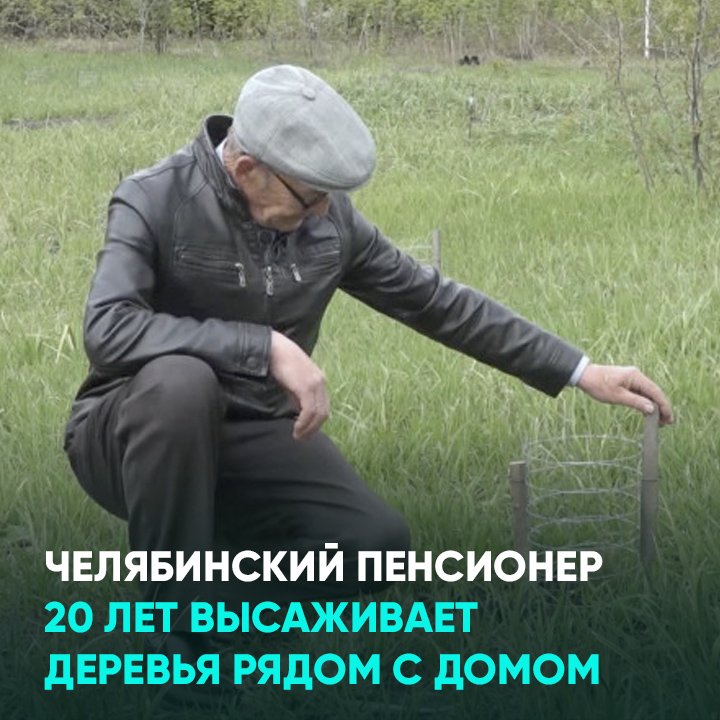 Челябинский пенсионер 20 лет высаживает деревья рядом с домом