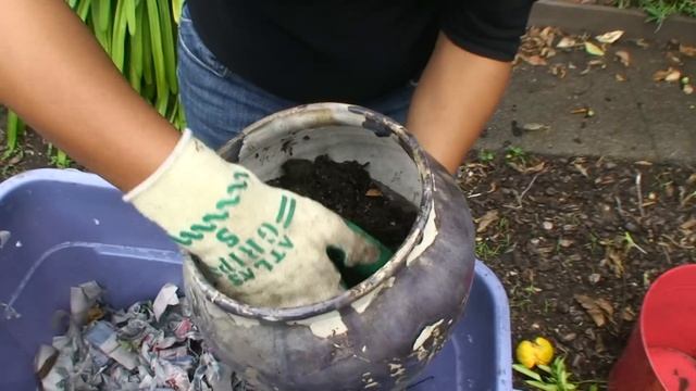 Judy shows how to make a worm composter | Design Squad смотреть онлайн