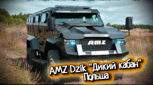 Бронеавтомобиль 4х4 AMZ Dzik «Дикий кабан» Польша