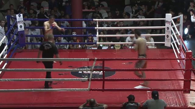 6 WEF83 PROFFIGHT35 Абиев Каныбек ?? против Алиева Санжара?? смотреть онлайн