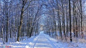 Падал снег! Самая красивая мелодия на свете! Зимняя соната! Музыка лечит сердце