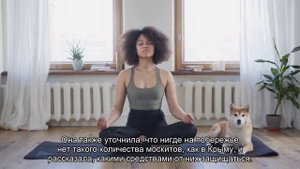 Россиян предупредили о нашествии «комаров-тигров» на побережье Черного моря