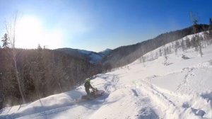 Фрирайд на снегоходах по снежным лесным полям.