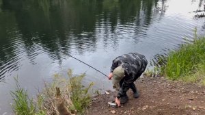 ЛОВИМ ФОРЕЛЬ В УСТЬЕ ГОРНОЙ РЕКИ